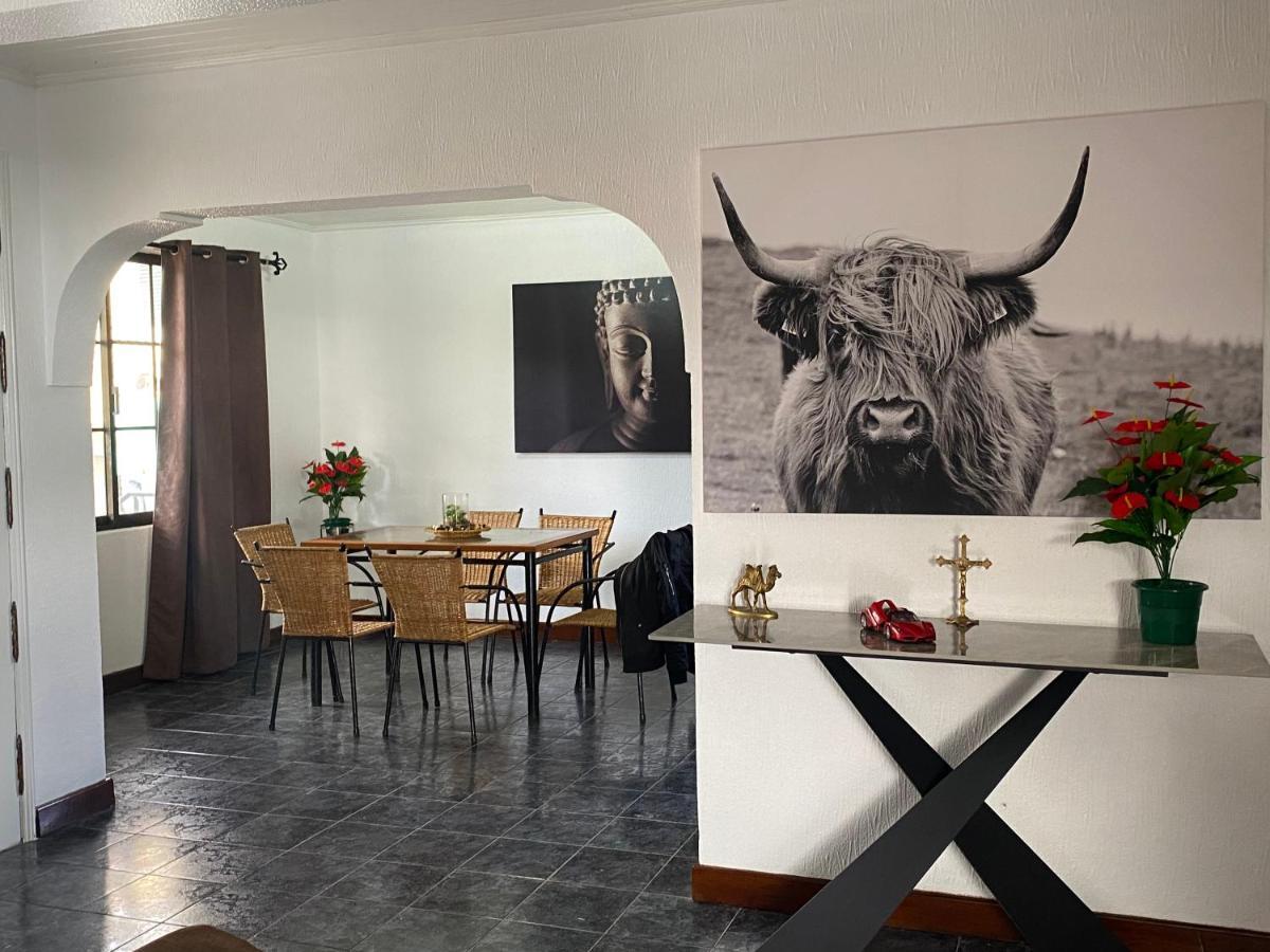 Hollywood Villa Campanário Dış mekan fotoğraf