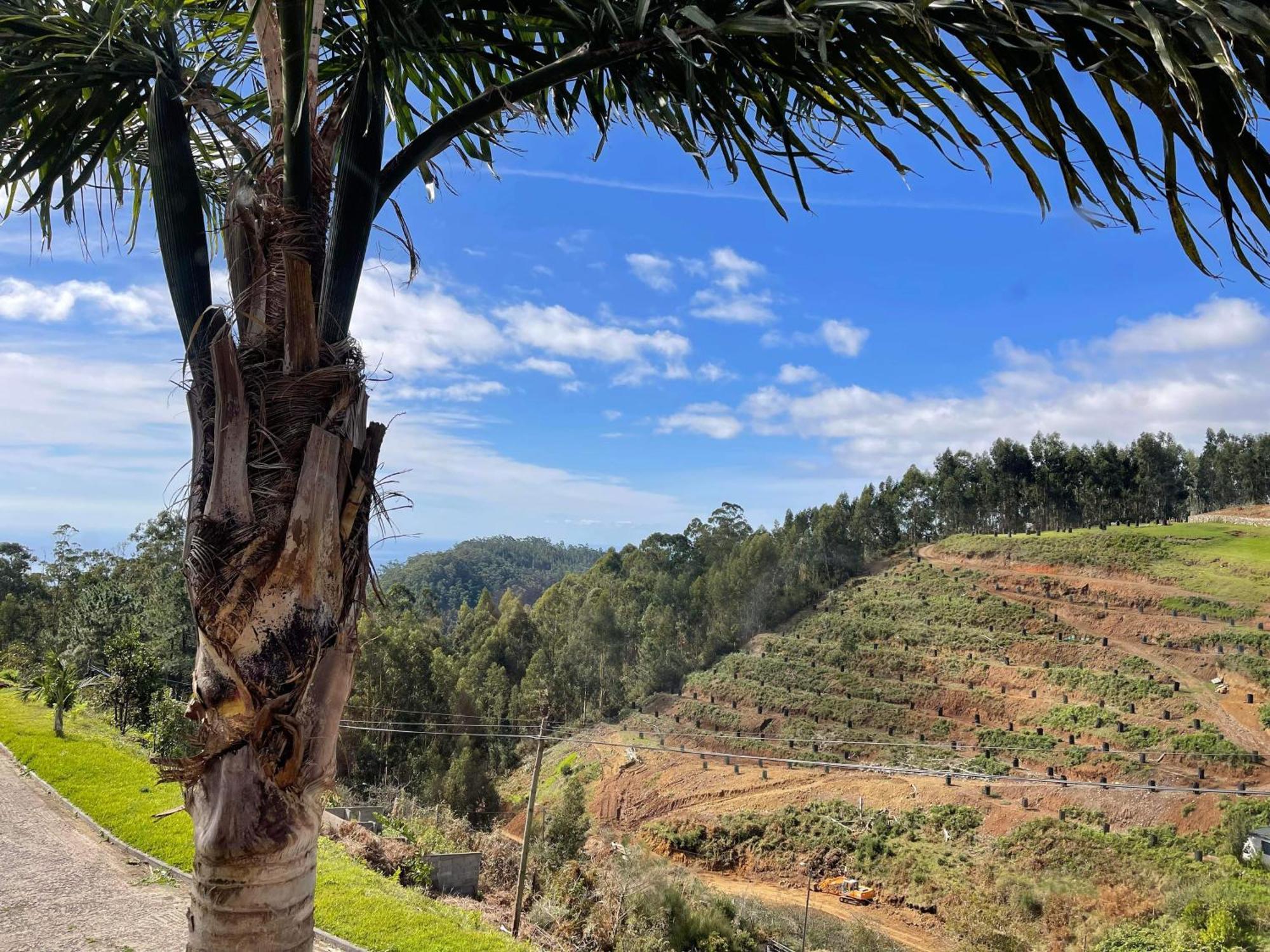 Hollywood Villa Campanário Dış mekan fotoğraf